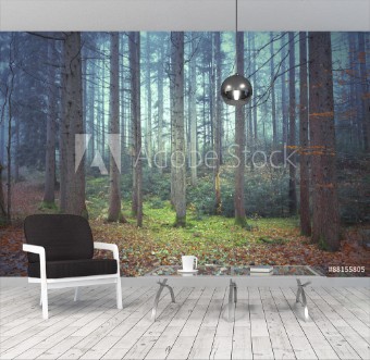 Picture of Beautiful colorful autumnal coniferous forest trees Picture was taken in south east Slovenia